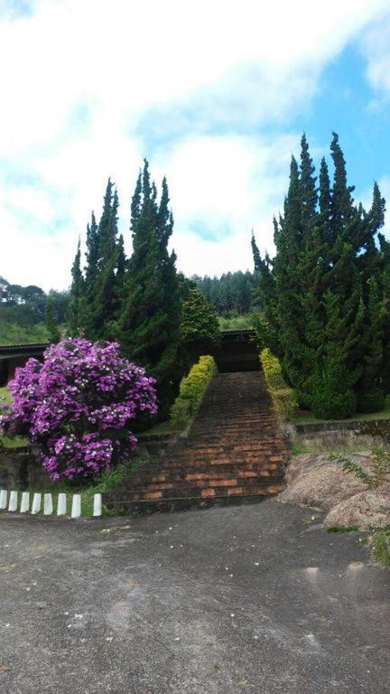 Fazenda Carpas Douradas São Roque Exterior foto